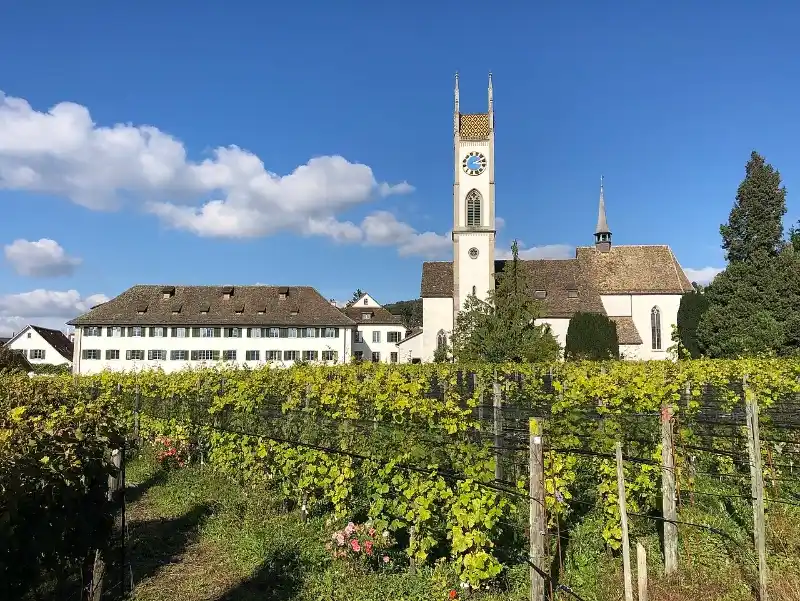 Kirche und Rebberg in Küsnacht am Zürichsee